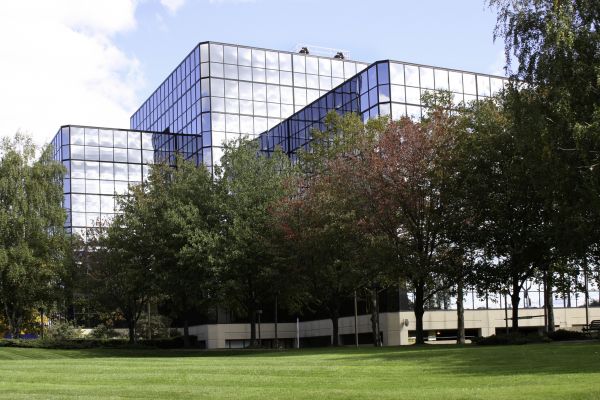 Commercial Tree Trimming in Auburn